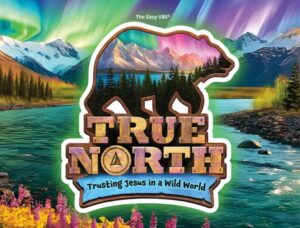 vbs true north