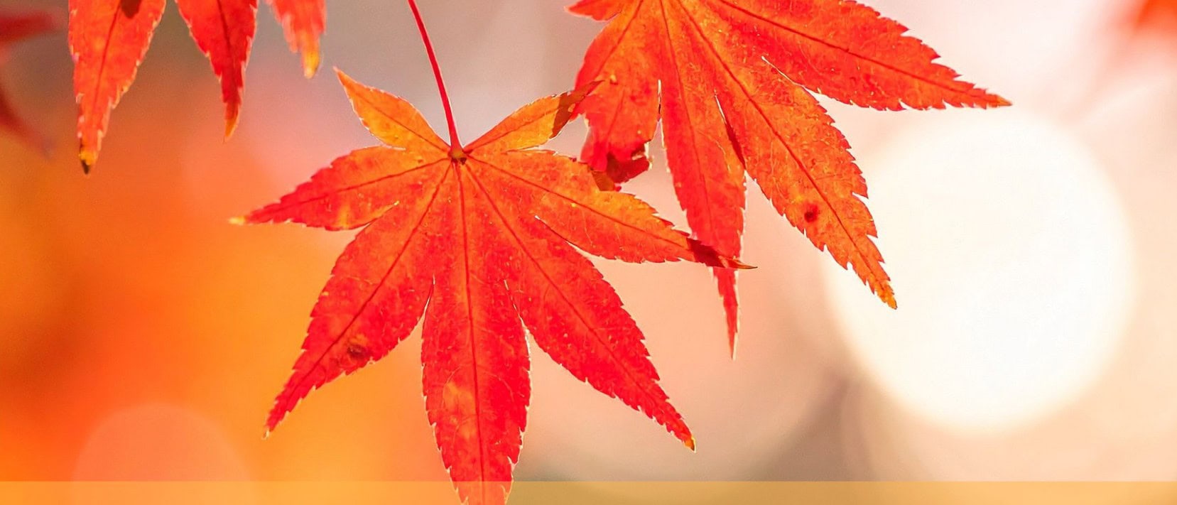 september2026 newsletter