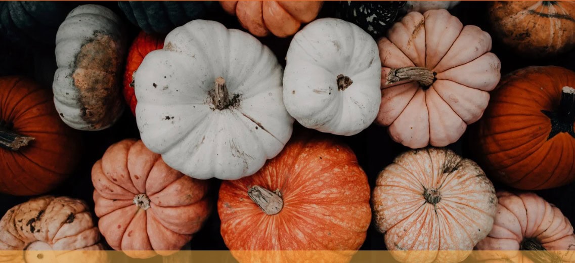 pumpkin gourds